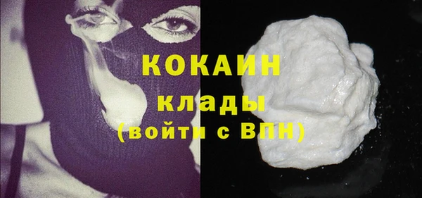 гидра Аркадак