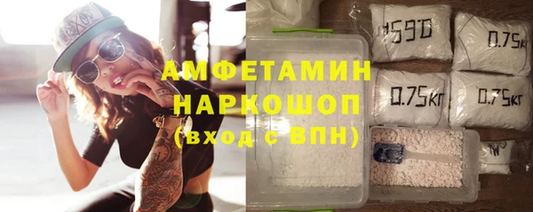 гидра Аркадак