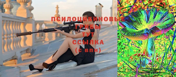 СК Алзамай